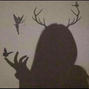 Meet your Posher, Jovizna